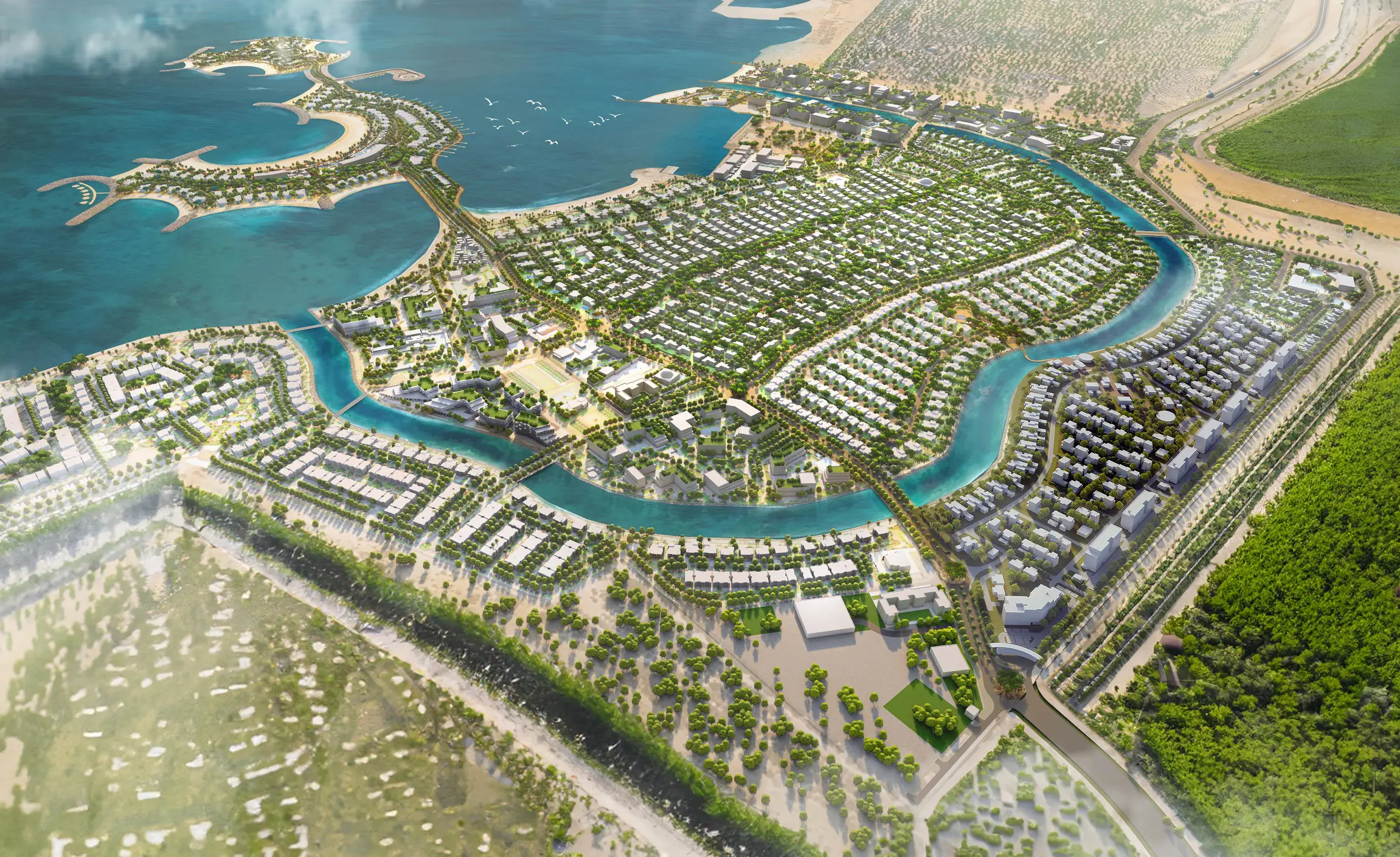 Project View